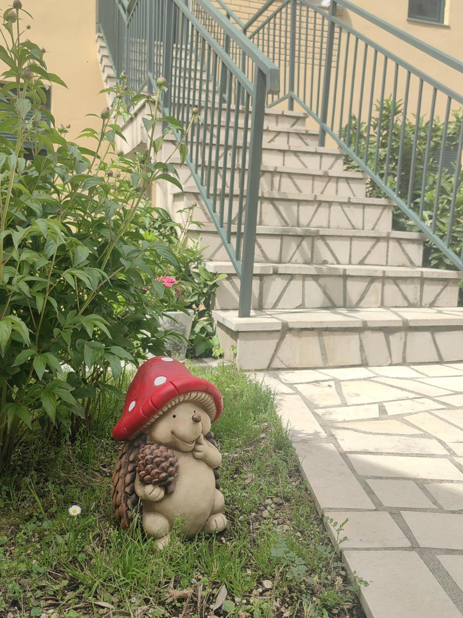 Apartments Andrea Kotor Rom bilde